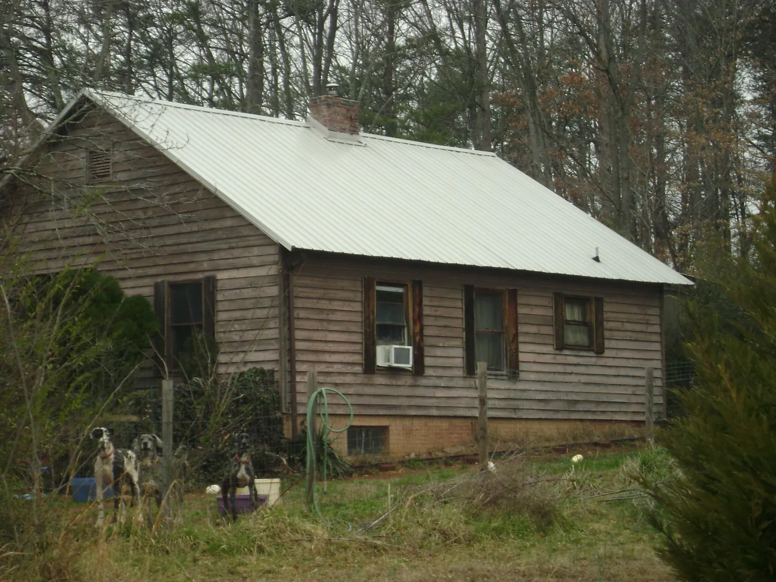 White metal roof on an old wood sided farmhouse, from a Metal Roof Installation job in Sunnyside